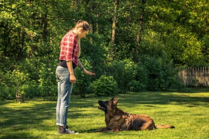 Foto di addestratore cani