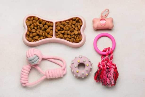 I migliori accessori per i tuoi animali domestici