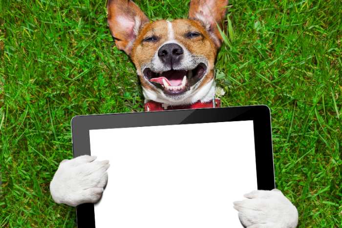 foto di app per cani