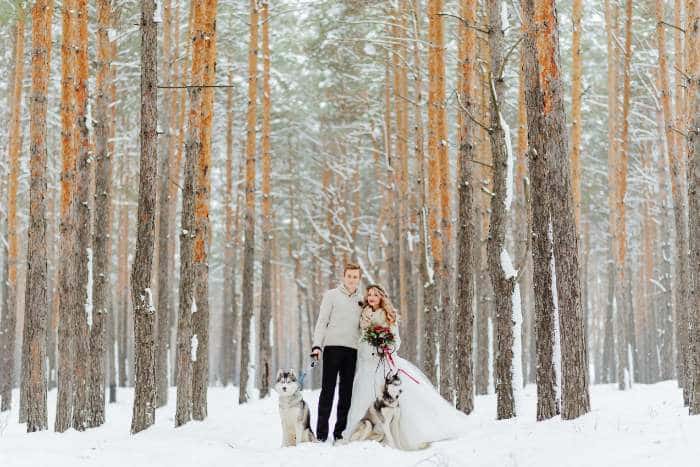 Foto di cani al matrimonio
