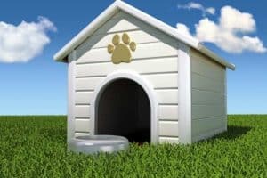 Cuccia per cane