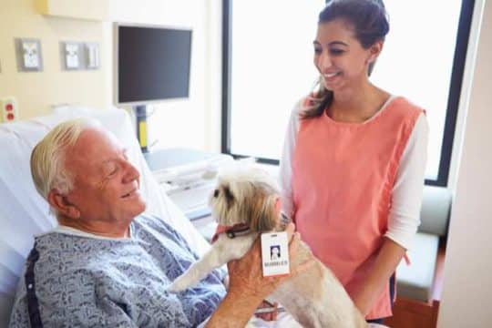 Cos’è la pet therapy e quali benefici può dare?